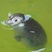 微信_7492792