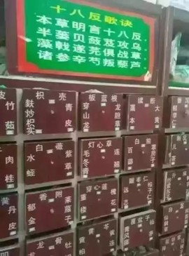 cailu81主播照片