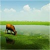 深蓝的海65