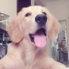 伊诺、3