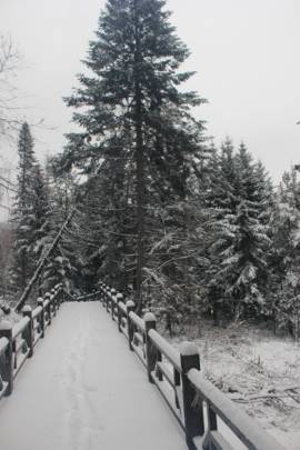 雪乡户外小帅主播照片