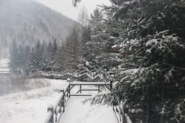 雪乡户外小帅主播照片
