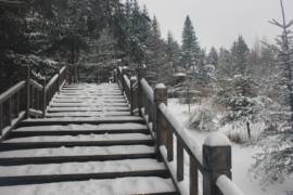 雪乡户外小帅主播照片