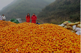 迷路d小鹿主播照片