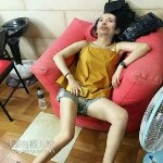 飞呀我的骄傲放纵