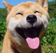 波尔多6