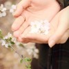 稼轩稼轩～海报