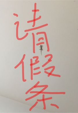 林妹妹不定时直播主播照片