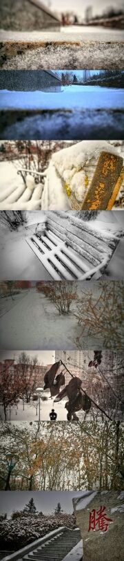 乐一求关注唱歌不要钱的主播照片