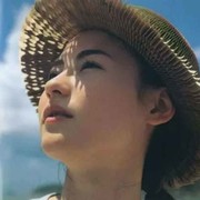 太阳花xy