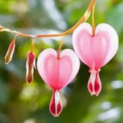 唯美