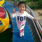付小平$海报