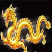 祥龙dk