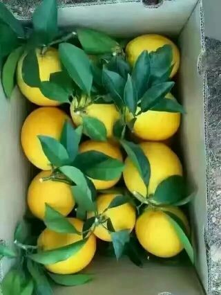 王郭瑷希的主播照片