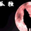 独自流浪*s