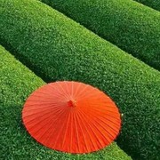 包财文