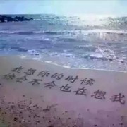 飞向远方g海报