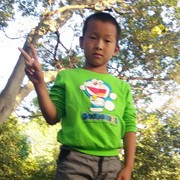 郑红霞y