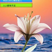 涛声依旧k9