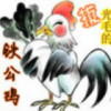 拔光毛的铁公鸡