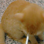 齊藤和巳