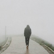 王仁伟b
