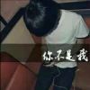 鲨鱼家的小赵海报