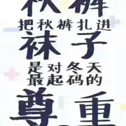 金子～海报