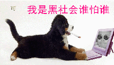 黄老邪-28581的图片