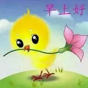 网络情缘em5