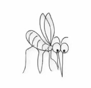 早起的虫儿🐛
