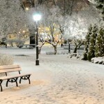 落叶飞雪，海报