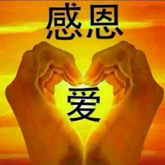 回转意的主播照片