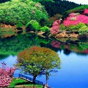 天涯咫尺su