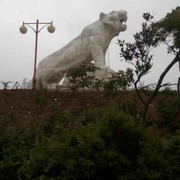 113vvl海报