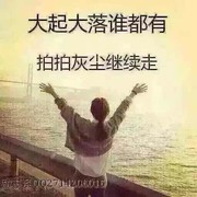 王爱莲海报