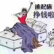 耗子sep的头像