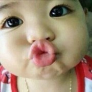 小雷爷