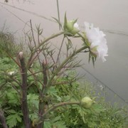徐万全i