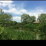 见谁都怕海报