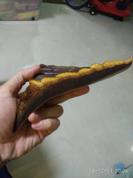 ★明哥★★主播照片
