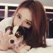 A+姠来缘浅、萘何情海报