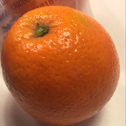 看见的时候