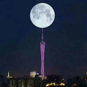 欢喜就好4n海报
