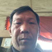 费卫东