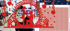 小狐重回主播照片