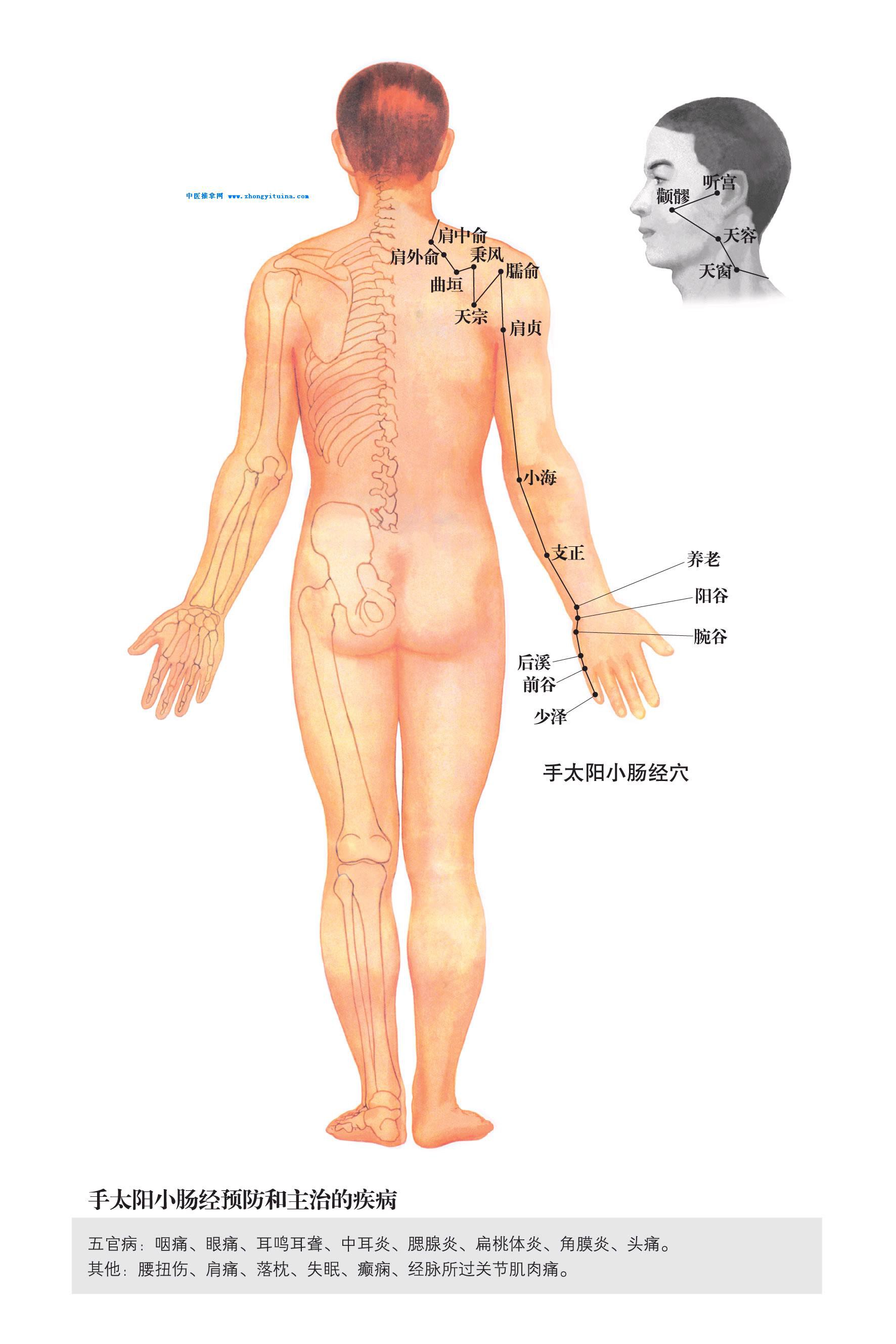 和合时尚的主播照片