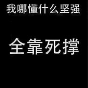 管我丑不丑又没给你看
