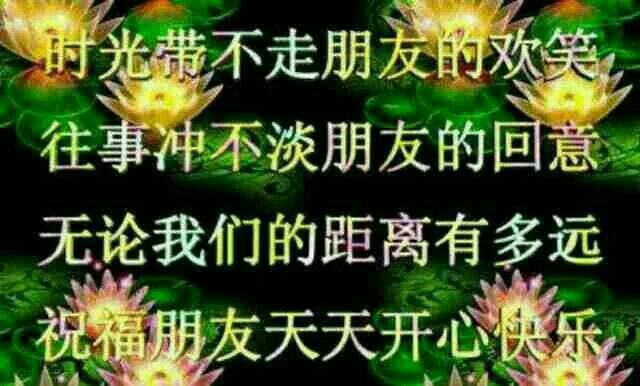 雄★鷹★部★隊的主播照片