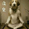 龙☜♡虎♡☞堂海报
